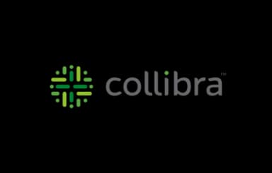 Collibra - Data intelligence platform for data governance